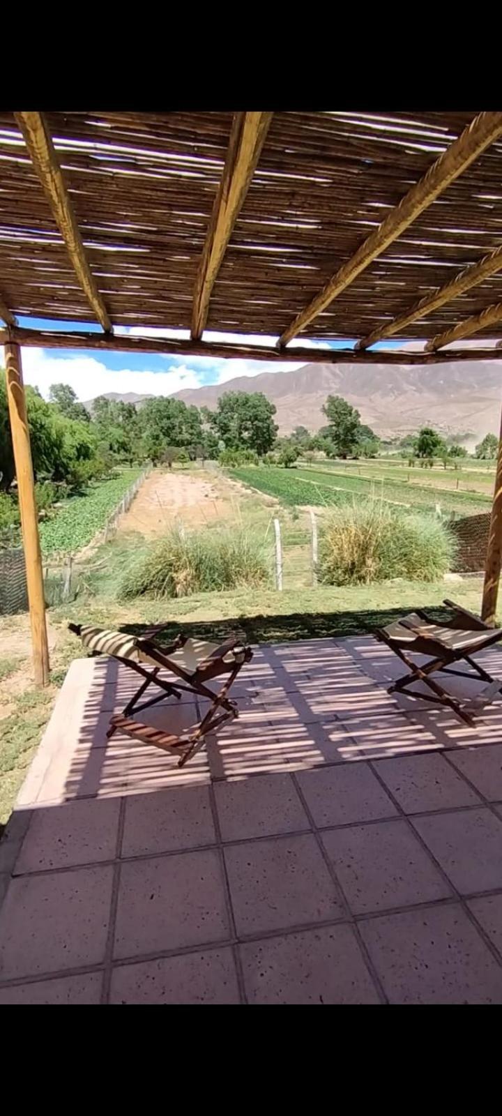 Holiday home - Barraca De Adobe - Casa De *