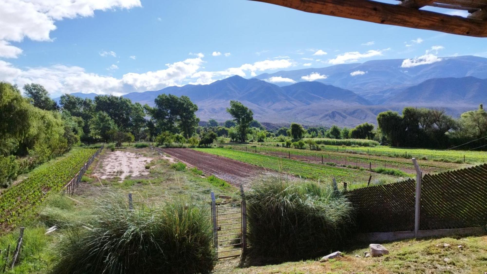 Holiday home - Barraca De Adobe - Casa De
